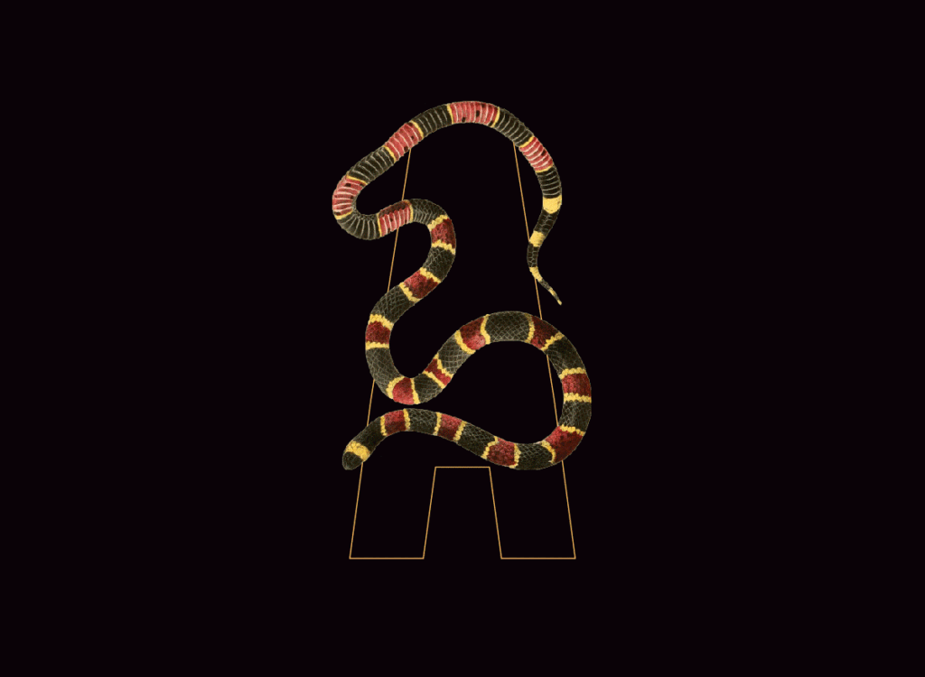 Tipografía animada Azotea de Paripé by Levulevú