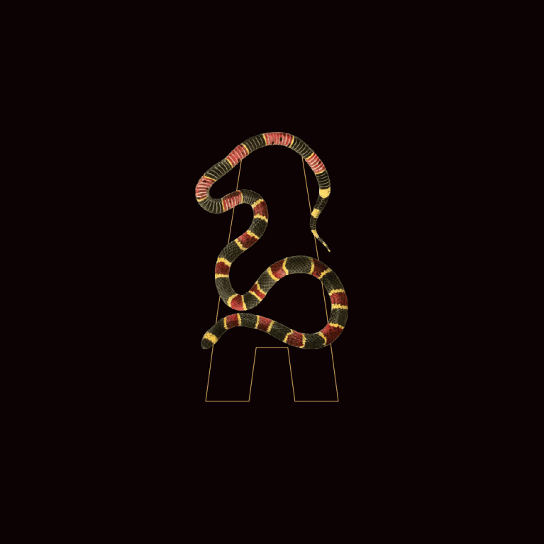 Tipografía animada Azotea de Paripé by Levulevú