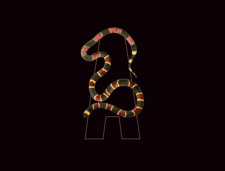 Tipografía animada Azotea de Paripé by Levulevú