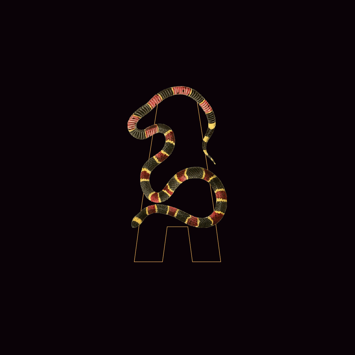 Tipografía animada Azotea de Paripé by Levulevú